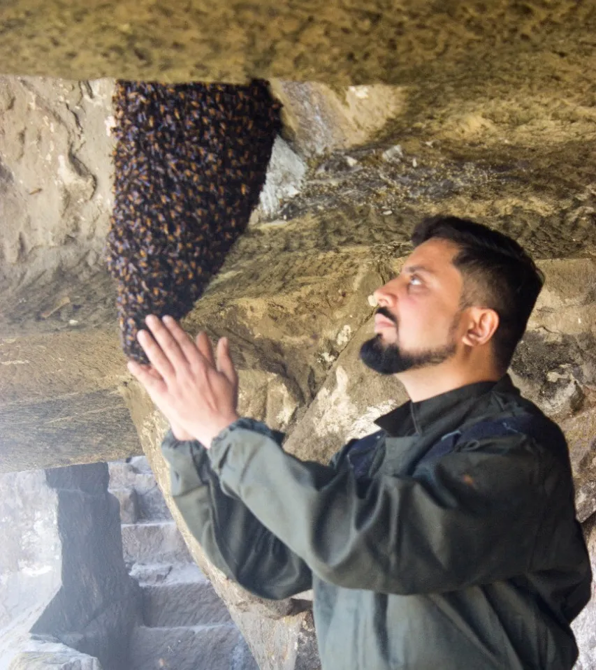 Amit Godse, founder, Bee Basket, rescuing bees at Harihar Fort near Nashik. Pic: Bee Basket 30stades