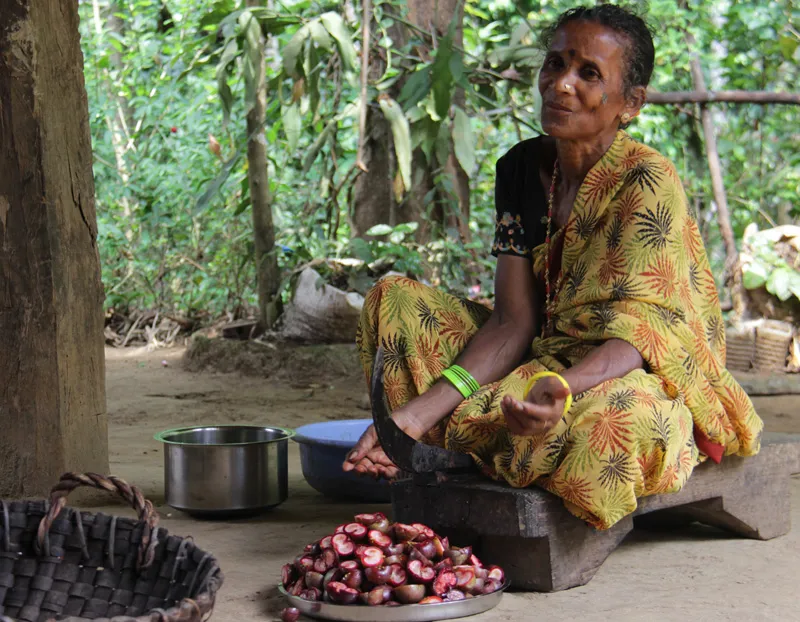 By generating livelihoods for indigenous people, Snehakunj Trust has been protecting the biodiversity of the Western Ghats. Pic: Snehakunj Trust 30stades