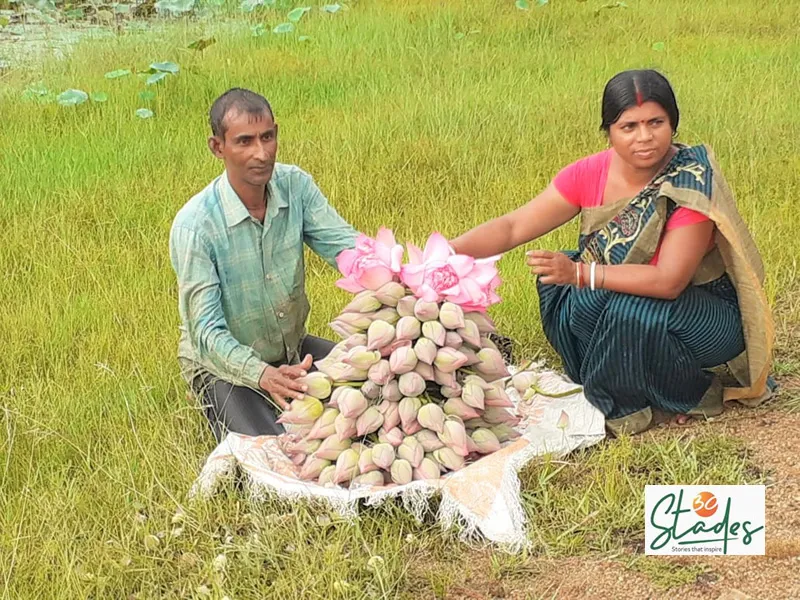 Gourango Pal and his wife Momoni Pal with freshly-harvested lotus flowers in Bankura. Pic: Partho Burman 30stades