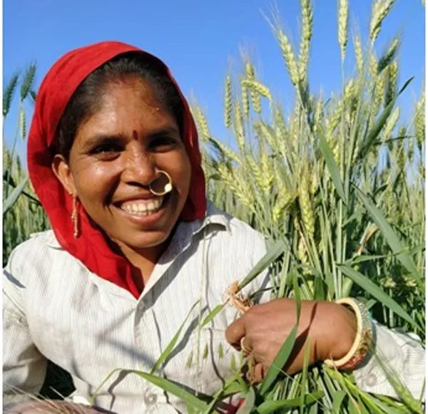 Vaagdhara has trained women in 1,000 villages of MP, Gujarat and Rajasthan in integrated farming practices. Pic: Vaagdhara 30 stades