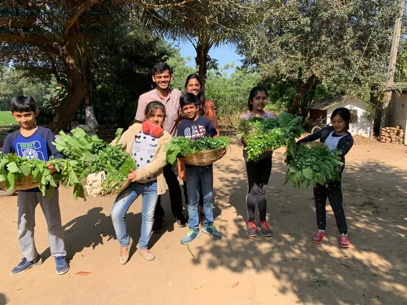 Produce from Vivek and Brinda Shah's farm. Pic: through Brindavan 30 stades