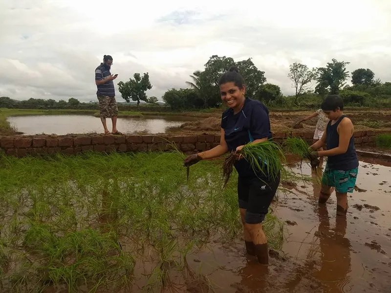 farmstays Farm of Happiness Paddy