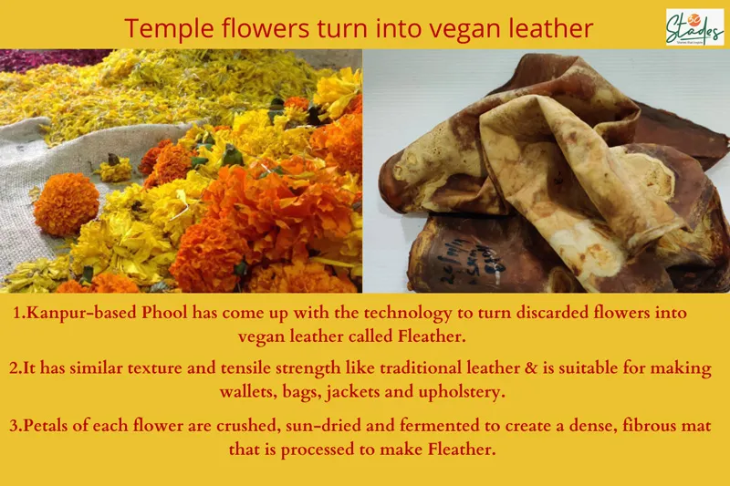 Temple flowers turn into fleather.