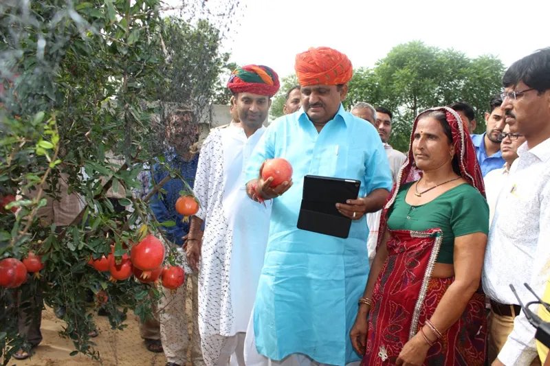 How organic fruit farming made Rajasthan’s Santosh Devi a millionaire organic manure sikar shekhawati krishi farm ecofriendly sustainable agriculture organic fruits pomegranates mosambi sweet lime lemon ber guava 30 stades