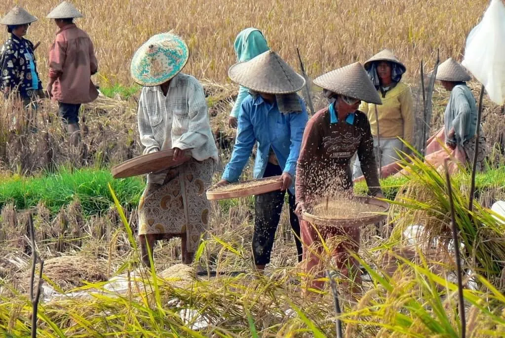 self help groups in indonesia