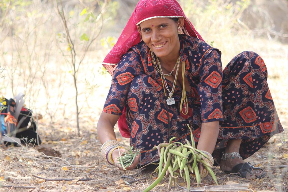 Return of the native: How Maruvan is restoring Rajasthan’s desert habitat