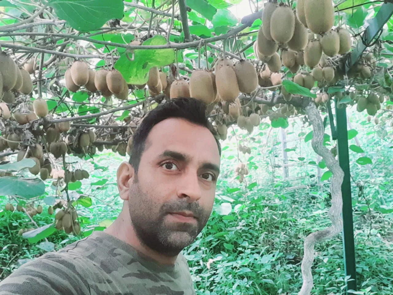 This MBA quit Wipro for organic kiwi farming in Himachal; turns barren land into profitable orchard