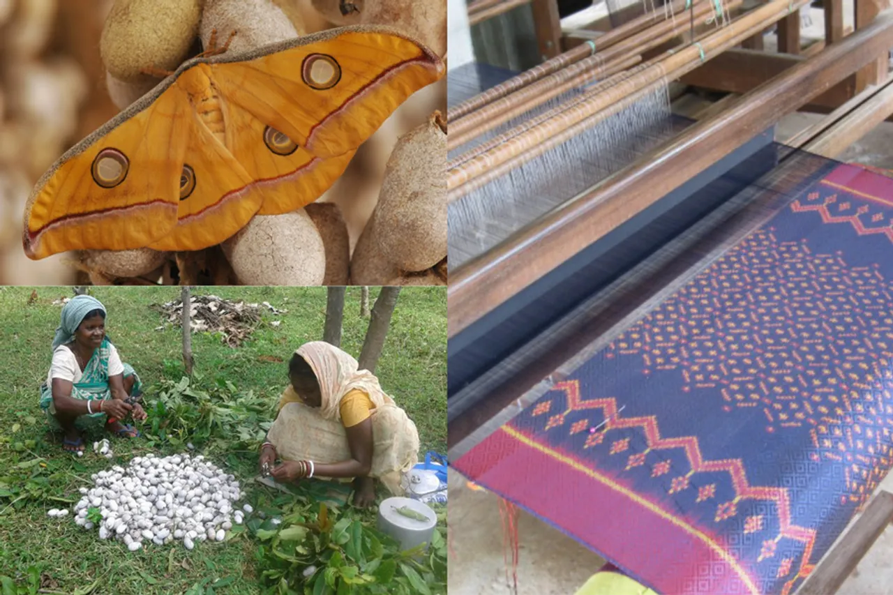 Tribal women turn entrepreneurs with Tasar silk farming