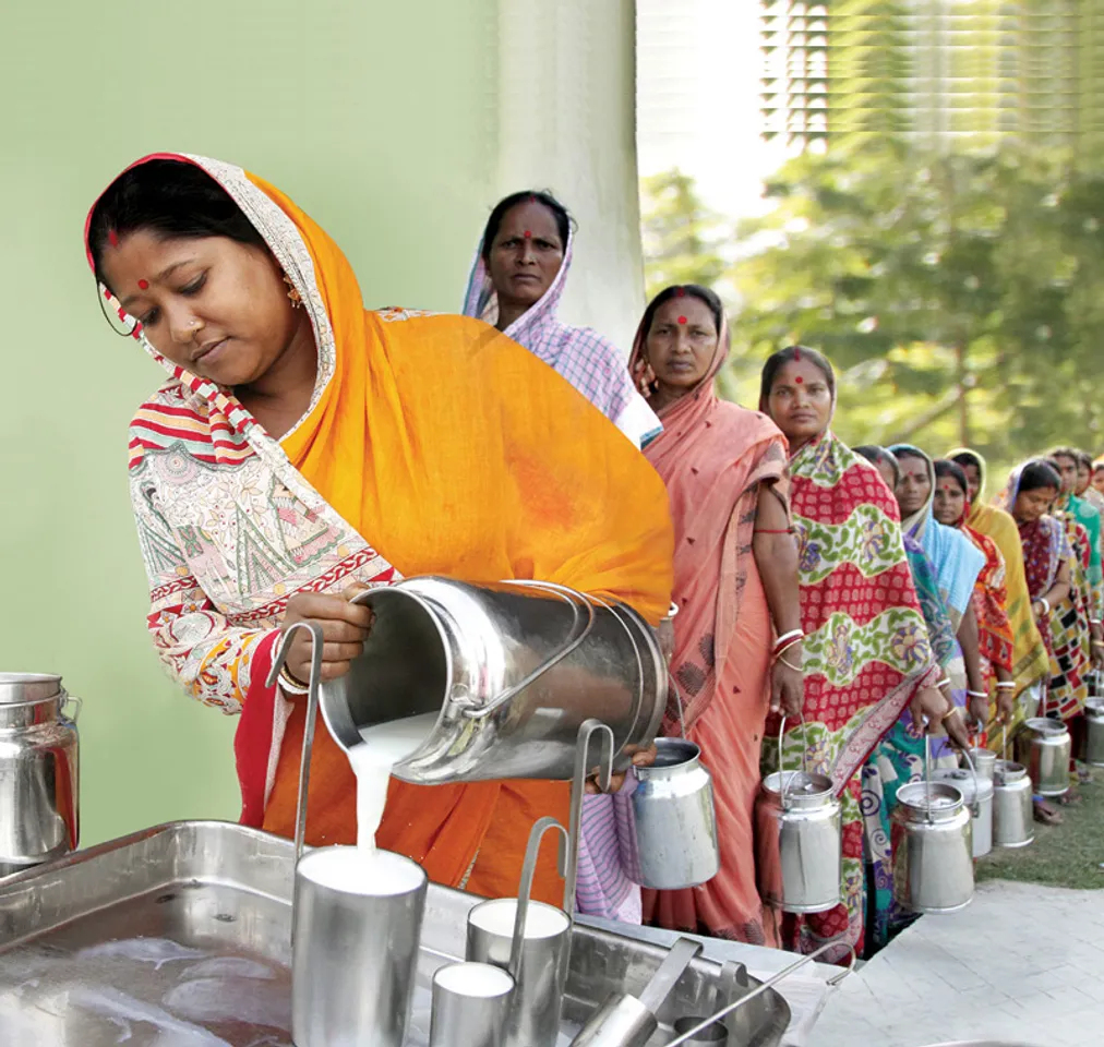 Sundarini: the organic milk revolution by women of Sundarbans