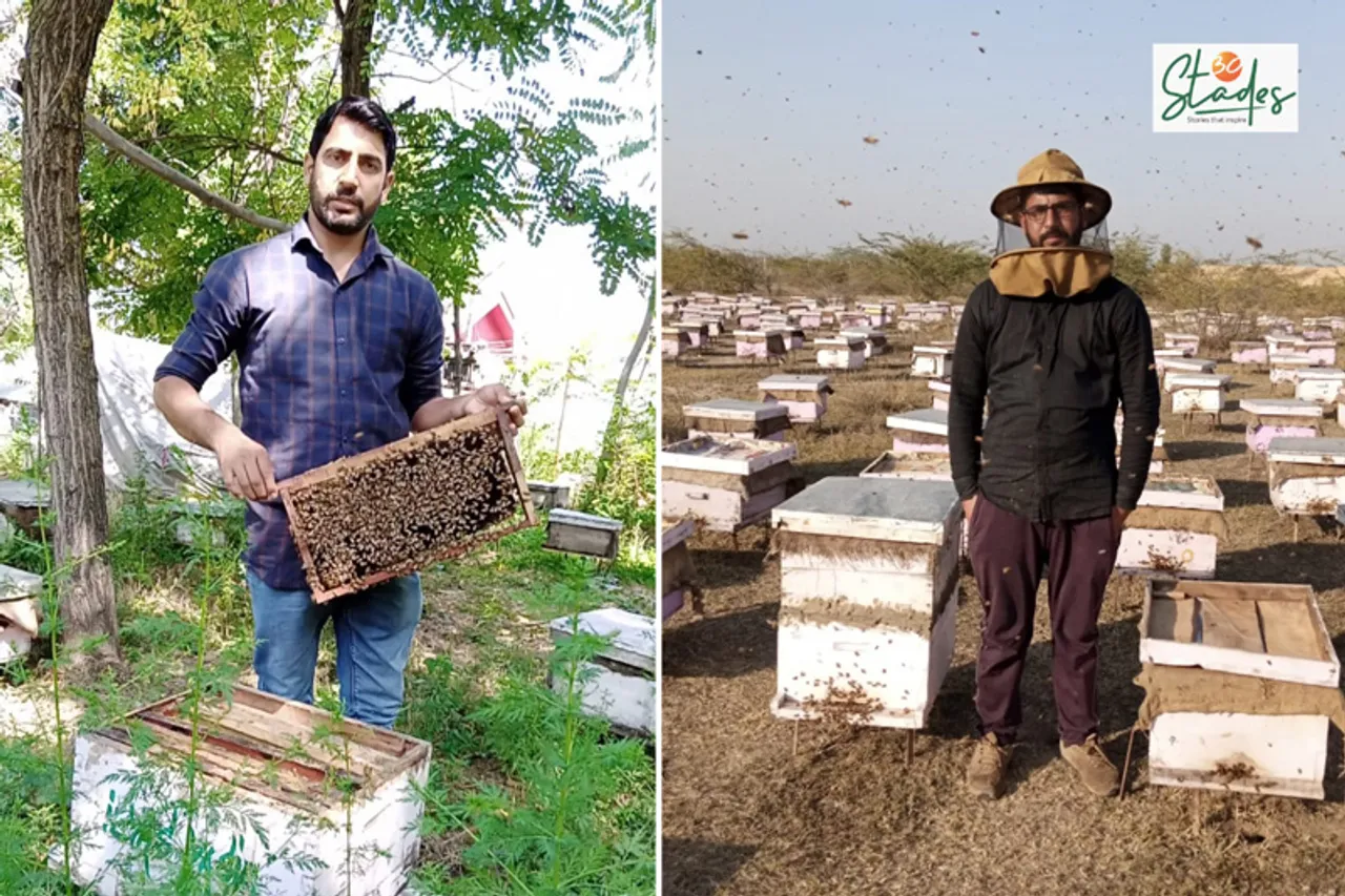 Kashmiri youth find the sweet spot in beekeeping; earn lakhs annually