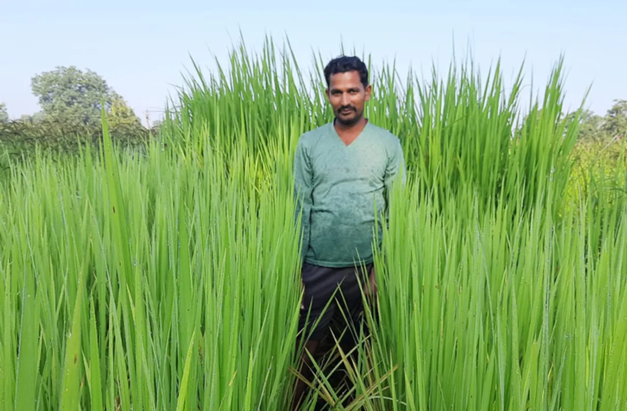 Seed conservation: This Madhya Pradesh farmer grows 115 native varieties of rice over just 2 acres; gives seeds free to other farmers 