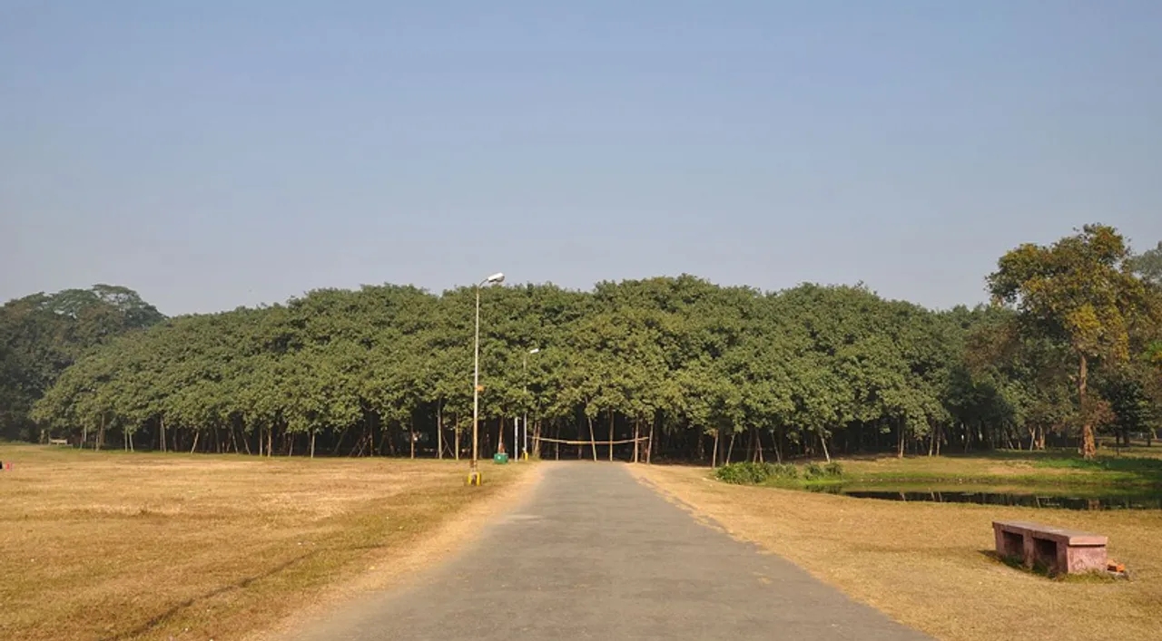 India’s 7 ancient and largest Banyan trees that have survived for centuries