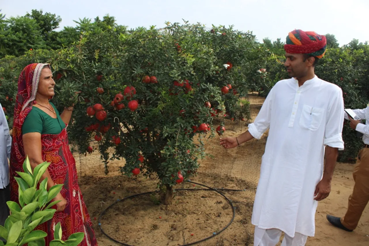 How organic fruit farming made Rajasthan’s Santosh Devi a millionaire