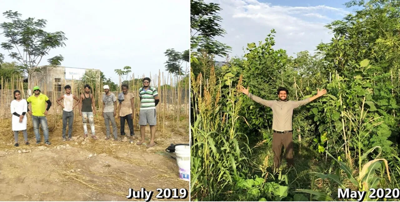 Udaipur youths turn barren lands green; help 1200 farmers go back to traditional farming
