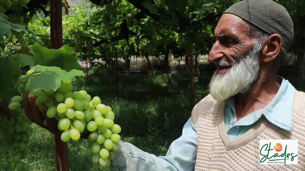 Repora: Visuals from Kashmir's grape village
