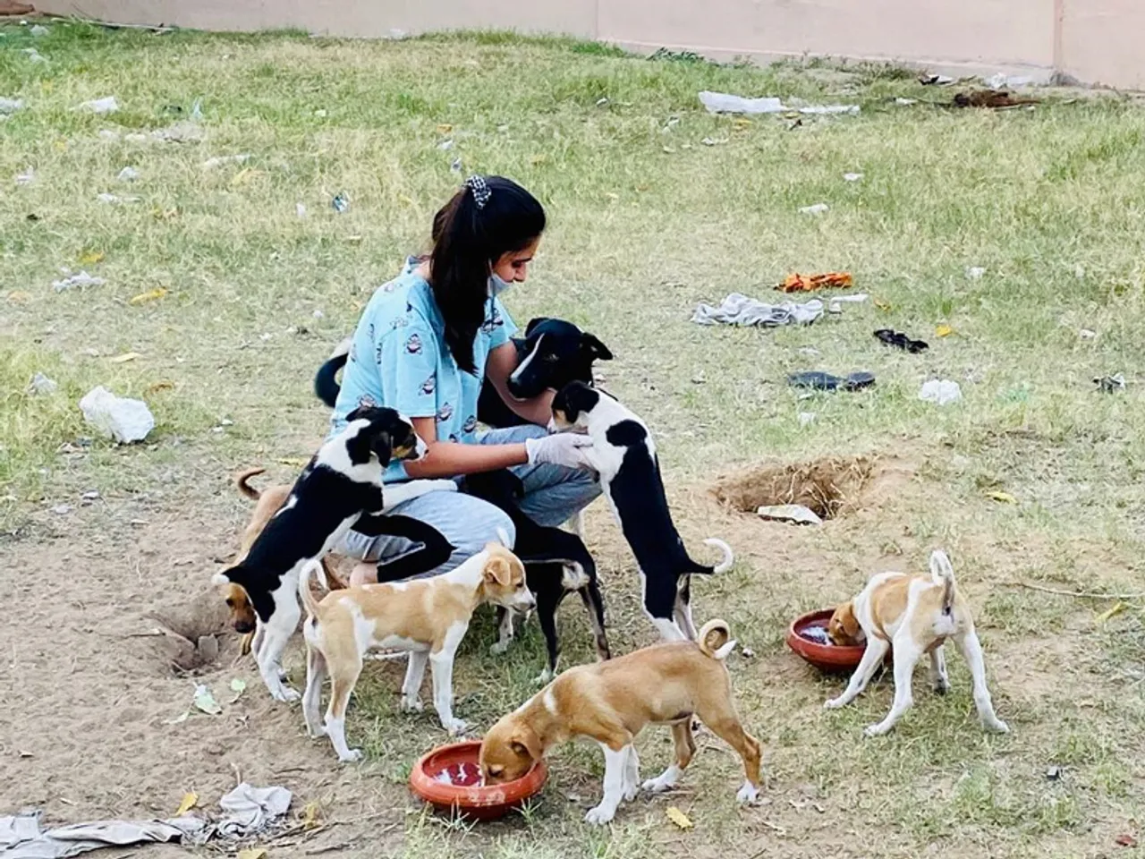 In pictures: hands that feed stray animals during COVID-19 lockdown