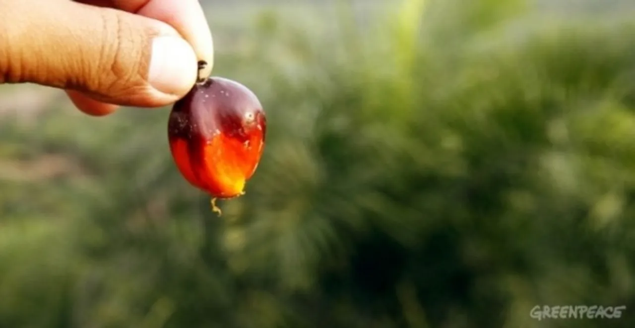 Fully Traceable Palm Oil In Four Years