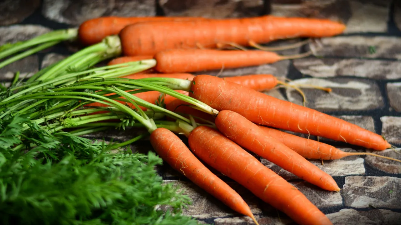 Carrot Benefits: गाजर के फ़ायदे और उसका सेहत पर प्रभाव