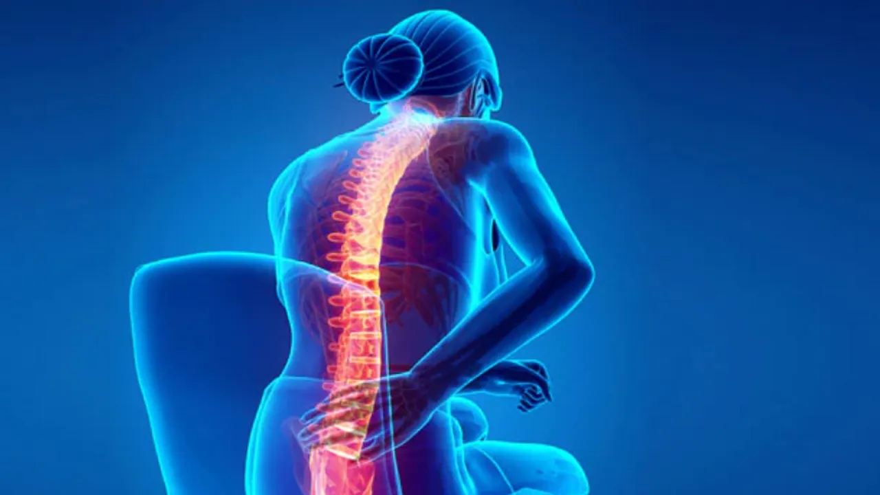 Back Pain: जानिए पीठ दर्द के क्या हैं असल कारण