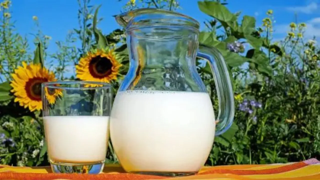 Benefits Of Turmeric Milk: सर्दियों में हल्दी दूध पीने के फायदे