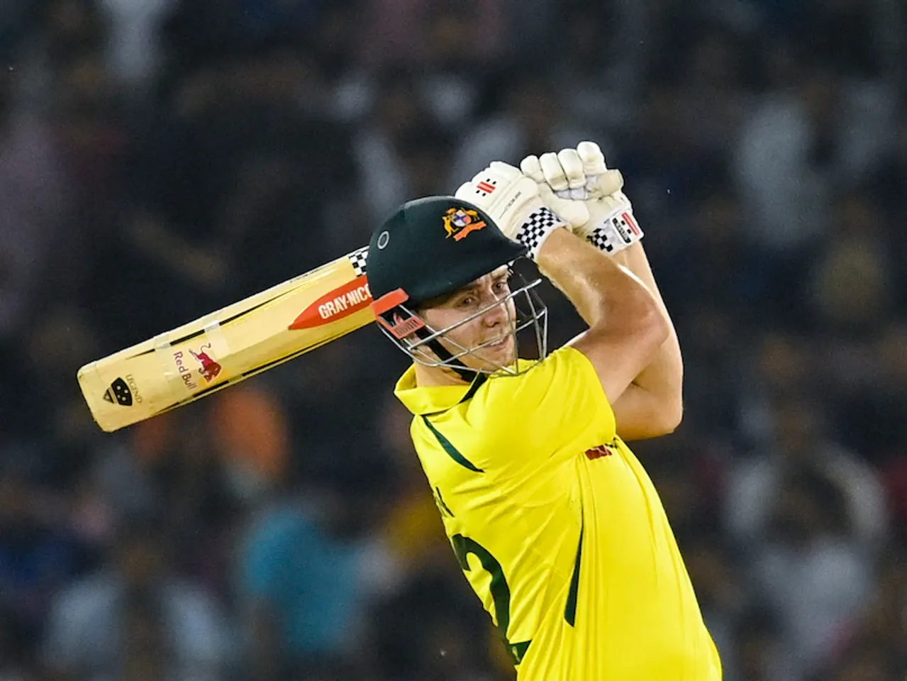 'Best environment to learn': Excited Cameron Green on IPL