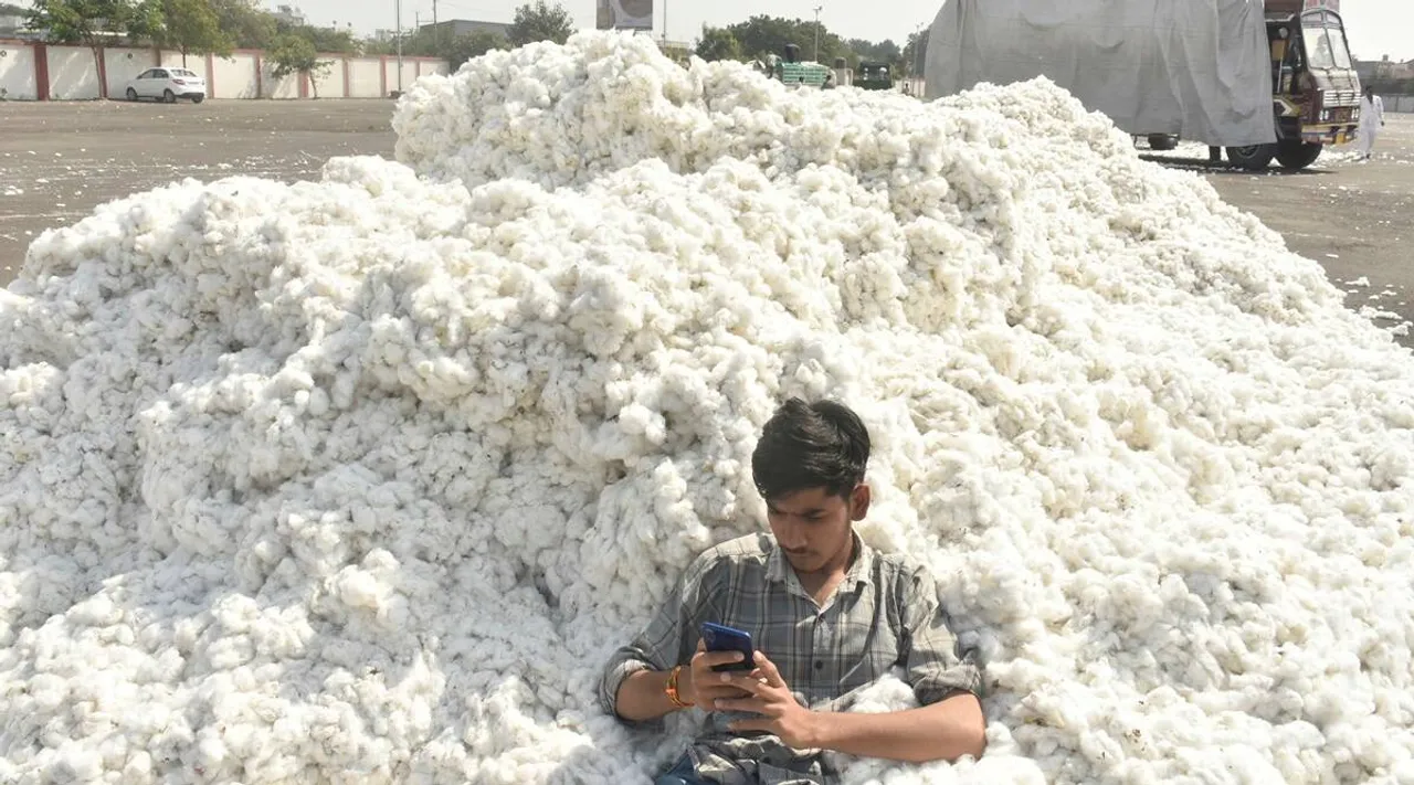 Climate change: Punjab's cotton, maize yield to dip by 11-13% by 2050, says report