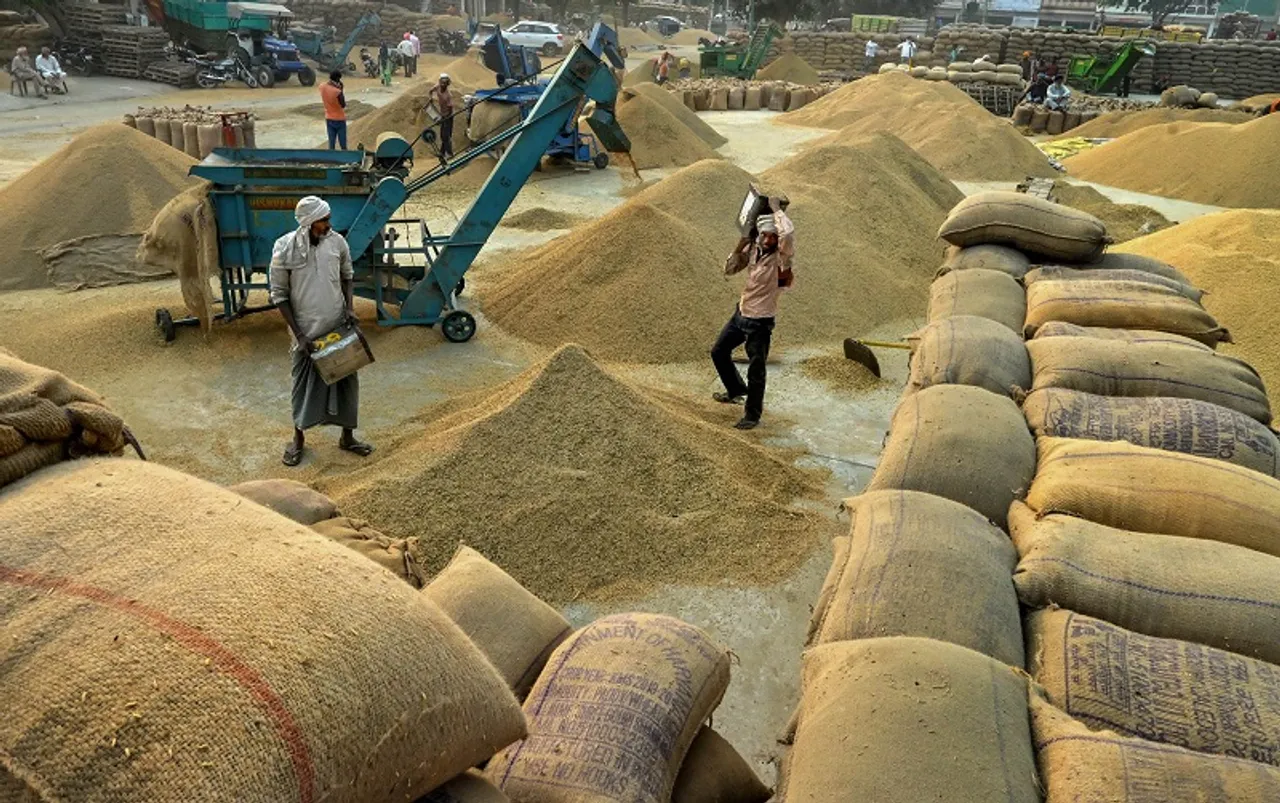 Govt to sell 30 lakh tonnes of wheat from buffer stock to curb price hike