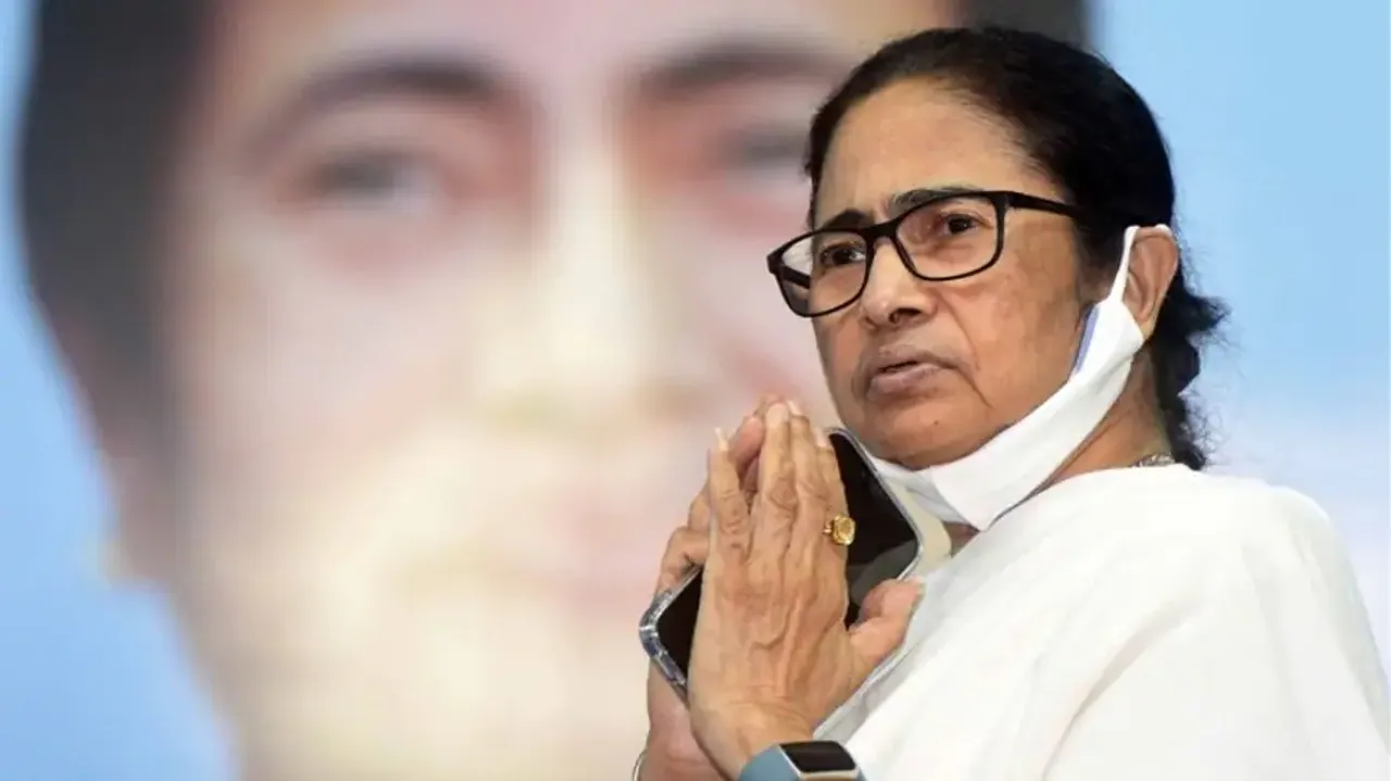 Why did Mamata Banerjee put Trinamool Congress' expansion plan on hold?