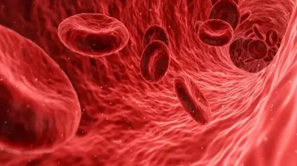 Food To Increase Haemoglobin: हीमोग्लोबिन लेवल बढ़ाने के लिए 5 फूड्स