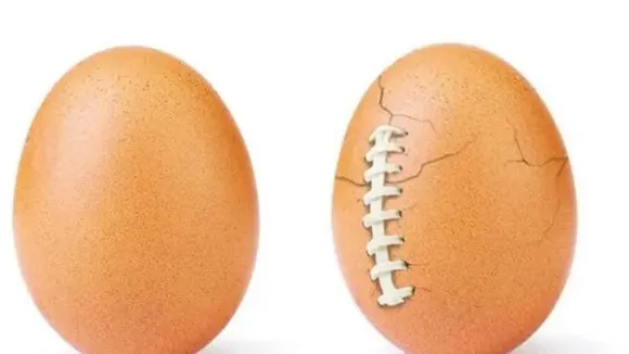 Myths About Eggs: प्रेग्नेंसी में नहीं खाने चाहिए अंडे, जैसे कॉमन मिथ