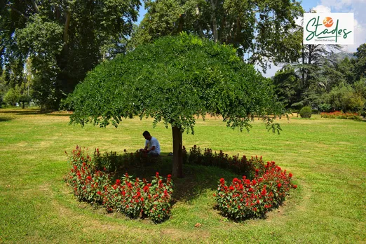 Srinagar has six heritage gardens which require a constant supply of plants. Pic: Ubaaid Mukhtar 30stades