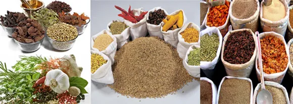 Organic spices from Rapid Organic. Pic: Rapid Organic 30stades