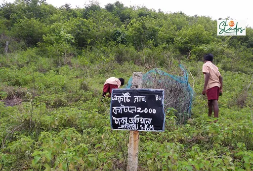 A board mentioning a fine of Rs2,000 for anyone who cuts the trees. Pic: Partho Burman 30stades