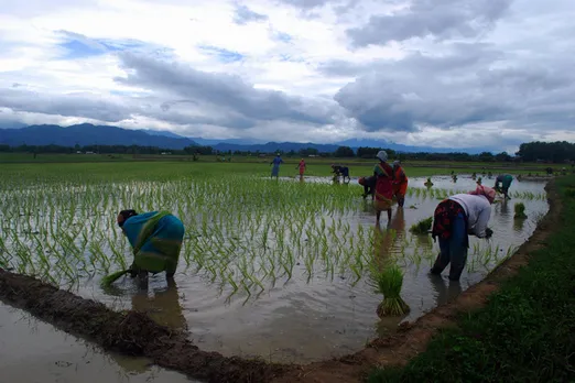 Agriculture-dominated states have been impacted lesser by the COVID lockdown. Pic: Flickr 