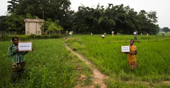 Women holding placards with names of traditional paddy varieties being grown in the farms. Aamon started with 300 women growing 18 traditional varieties. Pic: Pradan