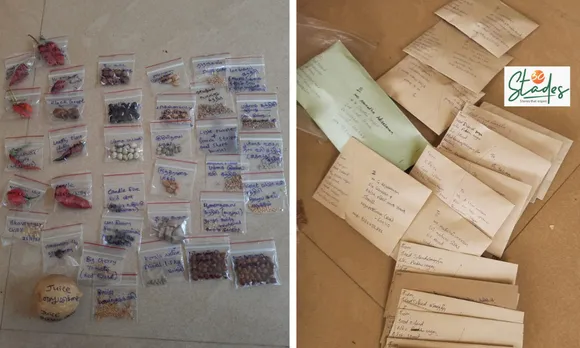 Conserved seeds are stored in ziplock pouches (left) and native seed packets ready for despatch (right). Pic: Courtesy V Priya Rajnarayanan 30stades