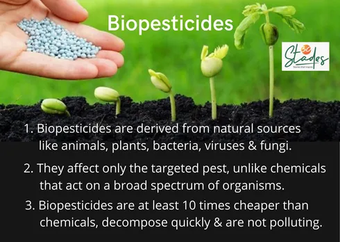 Benefits of using biopesticides organic farming 30stades