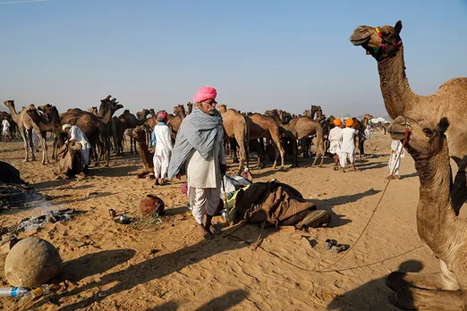 Deepak Sharma at Pushkar Camel Fair