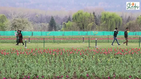 Many Bollywood movies have also been shot in this world-famous garden. Pic: Wasim Nabi 30 stades