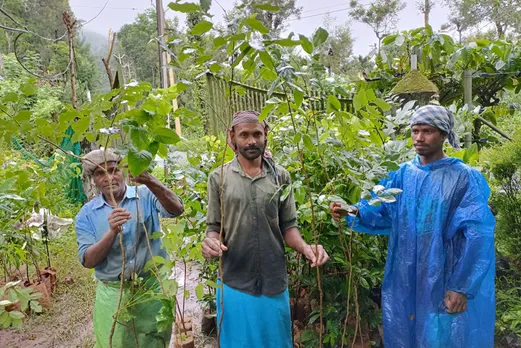 Plantation of native species is done only after plants grow at least 3-4 feet in the nursery. Pic: Forest First Samithi 30stades