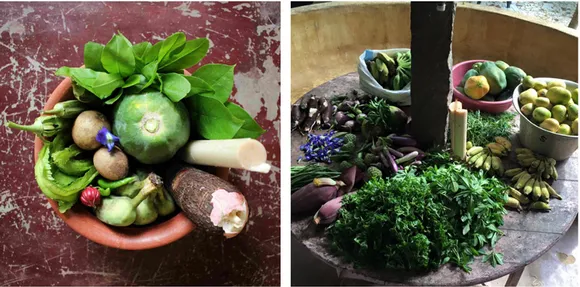 Food basket (left) and fresh harvest at Solitude Farm (right). Pic: Facebook/@solitudefarm 30stades