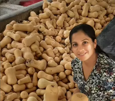 Sowmya with native variety of squash. Pic: HOOGA 30STADES