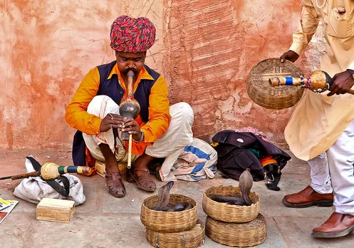 Gulabo Sapera Snake Charmer