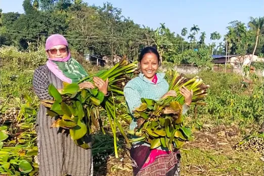 Hyacinth weaving artisan Smriti Rekha Chetia (right) after harvesting water hyacinth. Pic: through Smriti Rekha Chetia 30 stades