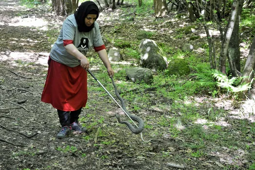 Aaliya Mir in a snake rescue operation. Pic: courtesy of Aaliya Mir