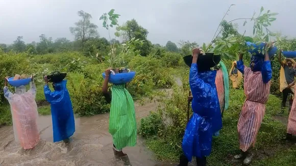 Tribal restorers crossing a stream as they go for planting during monsoon. Pic: Courtesy Meera Chandran 30stades