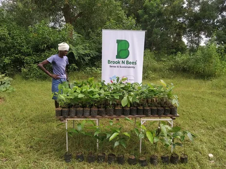 Saplings for Brook N Bees' 'Be a Tree' initiative. Pic: Brook N Bees 30stades