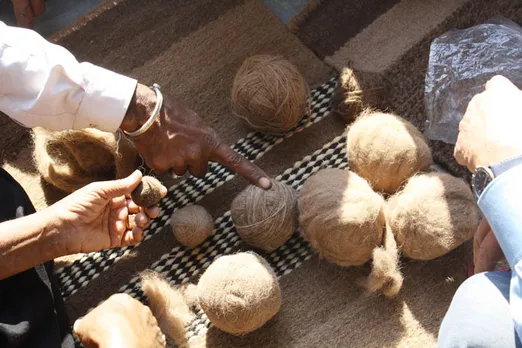 Camels are sheared once a year before summer and their wool is a source of income for breeders. Pic: KUUMS 30 STADES