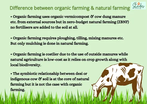 difference between zero-budgest natural farming spnf and organic farming