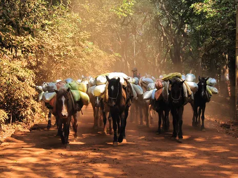 All supplies are carried by packhorse. Pic: Flickr 30stades